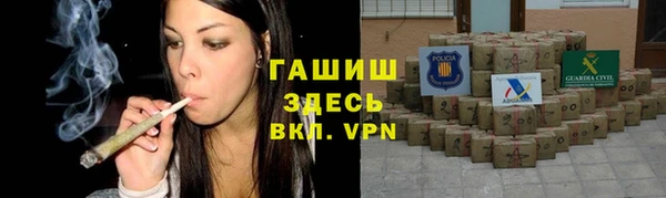 индика Алзамай