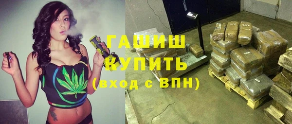 индика Алзамай