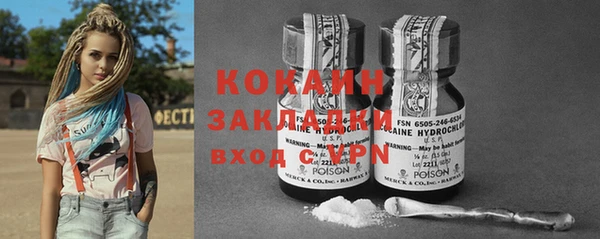 индика Алзамай
