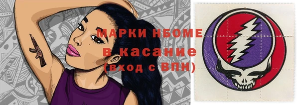 индика Алзамай