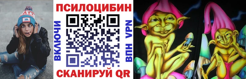 Псилоцибиновые грибы мицелий  Тында 
