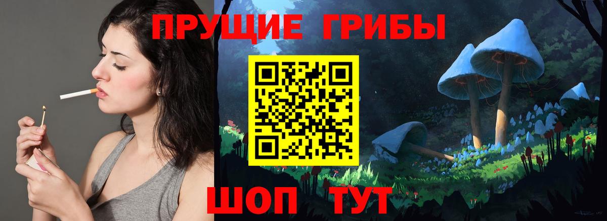 Тында  Галлюциногенные грибы мухоморы  Вход с VPN 